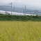 田園風景を走る「のぞみ」！
