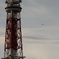 東京タワーと飛行機