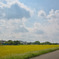 雲と田んぼ