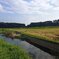 小川のような用水路（9月17日）