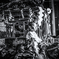 DSC_1573-2-2-26s2