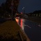 雨の赤信号