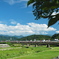 暑い日は木陰から