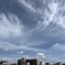 初秋の雲かな？