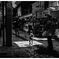 monochrome