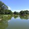 烏ヶ森公園の映り込みの池（8月8日）