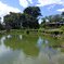 烏ヶ森公園の岸辺のカーブ（8月8日）