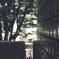 ここで。