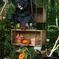 ハロウィンのご挨拶 ③