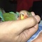 最近、こうしてあげないと寝ない