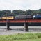 大井川鉄道　ブルートレイン急行サイド！