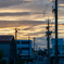 夕方散歩