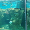 海響館