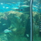 海響館