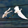 電線上のバトル