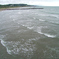 海は広いな