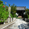 250916妙蓮寺01