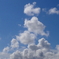 ぷくぷく.。o○　空を行く