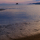 浜