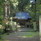 黄金山神社