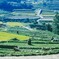 棚田　収穫のころ