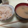 松茸ご飯と味噌汁
