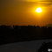 大屋根リングからの夕日