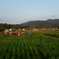 明日香村　大字奥山