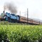 大井川鉄道の看板列車「トーマス」号！