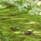 気持ちいい時間