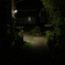 風の強い夜