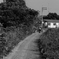 sanpo