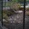 fence ii