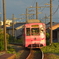 夕陽を受けて