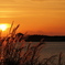 夕景_Sep2025
