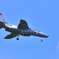 メタセの杜2023　8月-1　T4練習機②