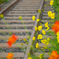 Railway
