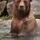 入浴中ですが何か?