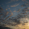 朝焼けのうろこ雲