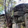 野呂山古代遺跡