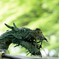 大雄山最乗寺_2022