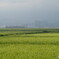P1960585tpac　モヤッとな朝