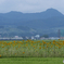 P1960998　見送る