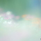 「Zinnia」