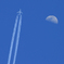 ☀「あおぞら」☮ 飛行機雲とムーン ☮