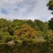 日本庭園