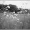Monochrome cosmos（Film)
