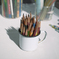 Pen pEn peN