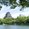 鯉城