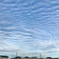 空を泳ぐ